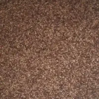 کنجد مناسب بذر