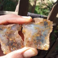 انواع سنگ شجرمشکی خراسان|کلکسیون اشیاء عتیقه|شهرکرد, |دیوار