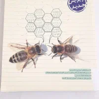 عربی.علوم.مطالعات نهم خیلی سبز|کتاب و مجله آموزشی|تهران, خلیج فارس|دیوار