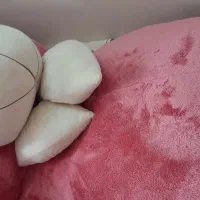 خرس بزرگ خارجی|اسباب‌‌بازی|فلاورجان, |دیوار