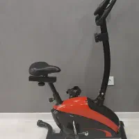 دوچرخه ثابت پاندا