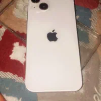 Apple 13