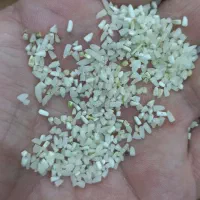 برنج نیم دانه دمسیاه چشمه ساران