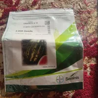 برز هندوانه وشمام