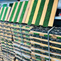 تایل چمن مصنوعی و چوب ترموود|خدمات باغبانی و درختکاری|بندرعباس, |دیوار