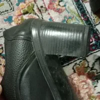 کفش|کیف، کفش، کمربند|چناران, |دیوار