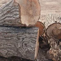 فروش تخته انواع چوب ،کیلویی و فله ای|مصالح و تجهیزات ساختمان|دماوند, گیلاوند|دیوار