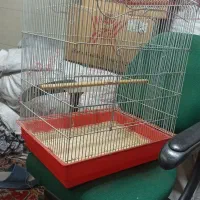 قفس پرنده|لوازم جانبی حیوانات|قرچک, محمد آباد|دیوار