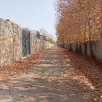 زمین-کامرانیه-ملک-اباد-املاک-شاهکار-کد-0331