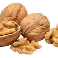 گردو کاغذی سفید