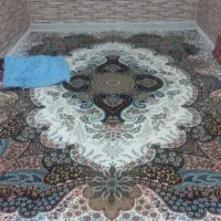 قالی|فرش|آبادان, |دیوار