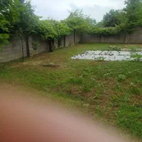 فروش زمین ۲۸۷ متری در  روستای زیبای نوخاله|فروش زمین و ملک کلنگی|رشت, یخسازی|دیوار