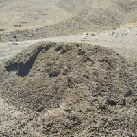 کود حیوانی (پهن)