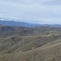چوپان متاهل و ضمانت دار ماهی ۵۰ ت