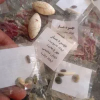 الماس هند