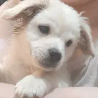 اسمش برفیه ۴ ماهشه