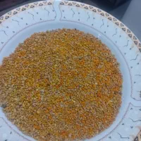 گرده گل تازه