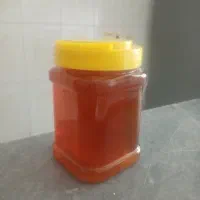 عسل طبیعی خانگی|خوردنی و آشامیدنی|صومای برادوست, |دیوار