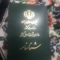 کیف مدارک به نام صفری
