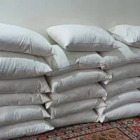 بالشت پر