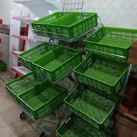 استند میوه و سبزیجات