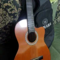 گیتار|گیتار، بیس، امپلیفایر|رشت, منظریه|دیوار