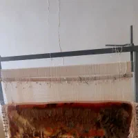دارقالیی