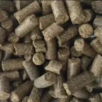 فشنگی تفاله نیشکر ختن