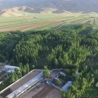 استخدام مدیر رستوران سنتی درشهرکرد