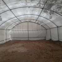 چادر مراسم|خدمات پذیرایی، مراسم|اسکو, |دیوار