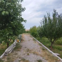 زمین-دو-کله-در-روستای-قره-حسن-لو