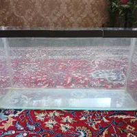 آکواریوم