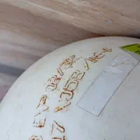 سی ان جی کامل|قطعات یدکی و لوازم جانبی|اردبیل, |دیوار