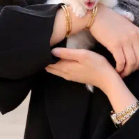 واگذاری گربه