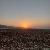 ۳۰ هزار متر زمین کشاورزی دارای سند