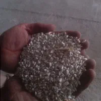 خرید و فروش کافشه گلرنگ