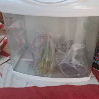 آکواریوم ماهی