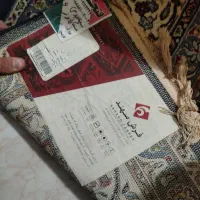 فرش|فرش|پرند, فاز ۶|دیوار