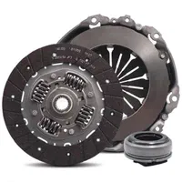 لنت کوبی و تعمیر دیسک جهانی