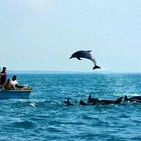 سفر به جزایر قشم. هرمز بازدید از جاذبه های گردشگری|تور و چارتر|فلاورجان, |دیوار