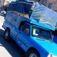 گوجه برای فروش