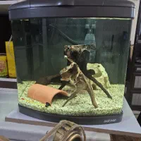 اکواریوم ماهیران tl440