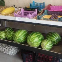 پالت میوه ،استند میوه ،