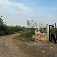 تک پلاک با سند وانشعابات اقساطی|فروش زمین و ملک کلنگی|زرگرشهر, |دیوار