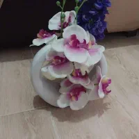 گلدان های زینتی|گل مصنوعی|شاهرود, |دیوار