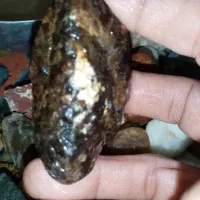 سلام  فروش تعدادی سنگ قیمتی سنگ الماس شهاب سنگ|کلکسیون اشیاء عتیقه|مرودشت, سهل‌آباد|دیوار