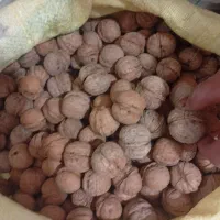 فروش گردو وبادام|حراج|قوچان, |دیوار