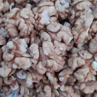 گردو ارگانیک و خوشمزه الموت|خوردنی و آشامیدنی|محمدیه-قزوین, |دیوار