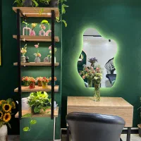 اجاره لاینهای زیبایی