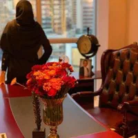وکیل شرکت/داوری/سند دار کردن ملک/اراضی